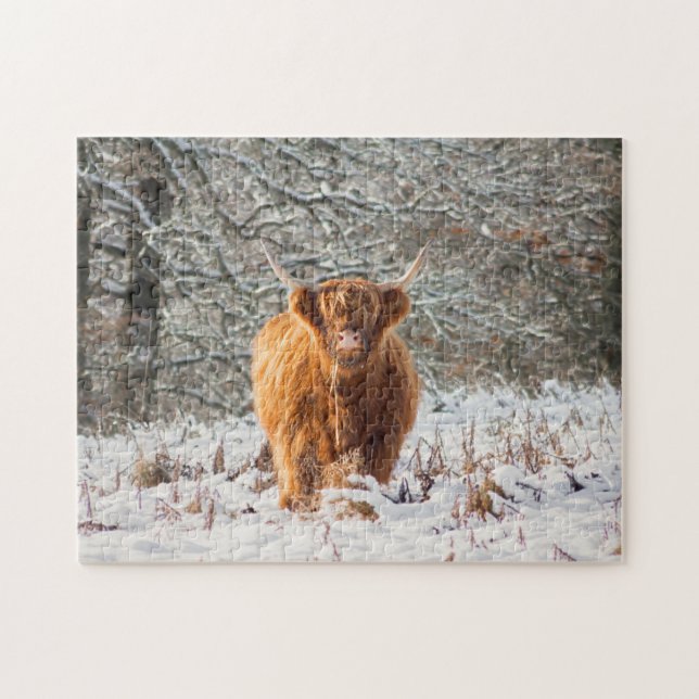 Quebra-cabeça Scottish Highland cow in the snow (Horizontal)