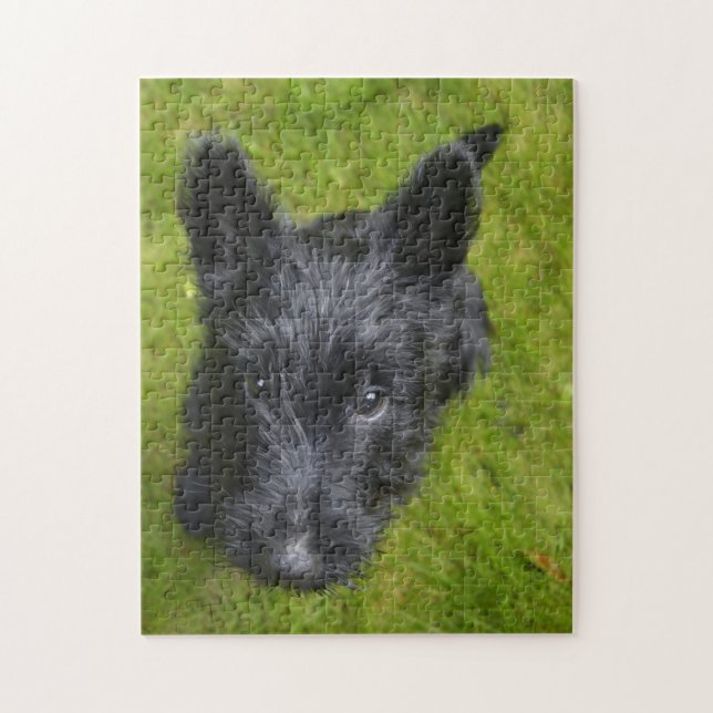 Quebra-cabeça Scottish Terrier Jigsaws. (Vertical)