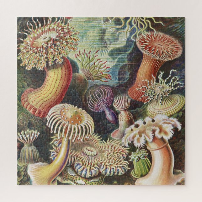 Quebra-cabeça Sea Anemones, Actiniae Seeanemonen Ernst Haeckel (Vertical)