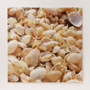 Quebra-cabeça Sea Beach Shell: Fundo Texturizado de Verão