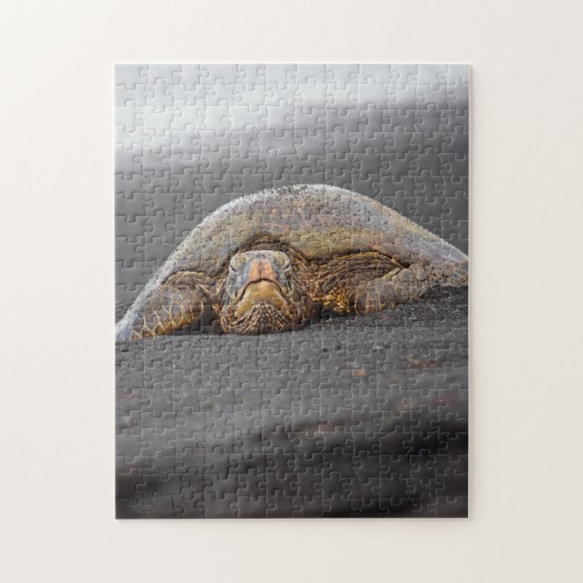 Quebra-cabeça Sea Turtle Black Sand Beach Hawaii - 11x14 -252 pc (Vertical)