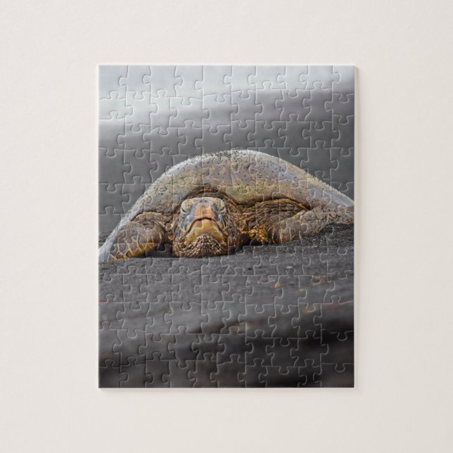 Quebra-cabeça Sea Turtle Black Sand Beach Hawaii 8x10 - 110 pc (Vertical)