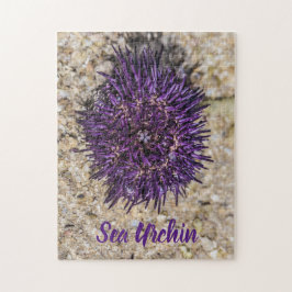 Quebra-cabeça Sea Urchin Ocean Beach Holiday Summer Souvenir