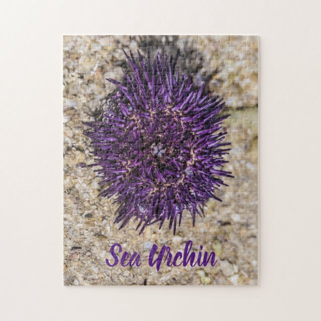 Quebra-cabeça Sea Urchin Ocean Beach Holiday Summer Souvenir (Vertical)
