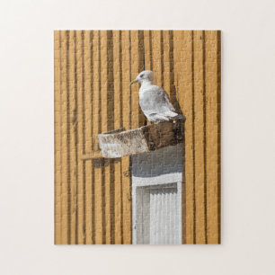 Quebra-cabeça Seagull Noruega
