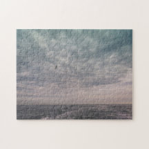 Seagull voando sob um céu nublado