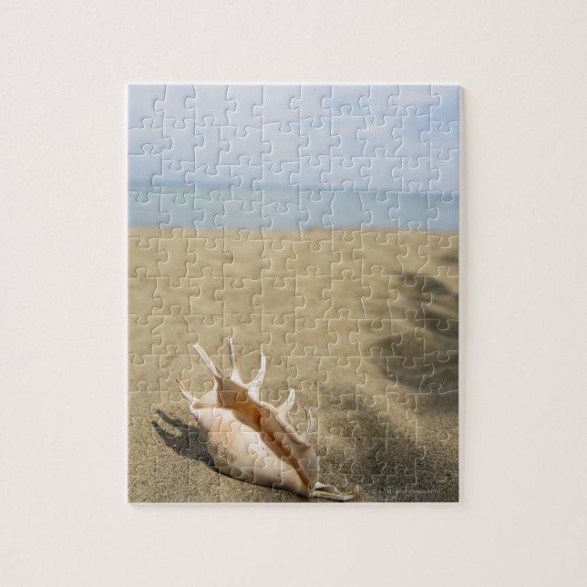 Quebra-cabeça Seashell na praia arenosa (Vertical)