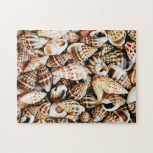 Quebra-cabeça Seashells minúsculos