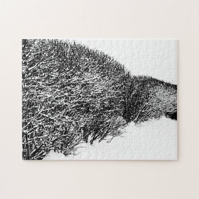 Quebra-cabeça sebe de inverno (Horizontal)