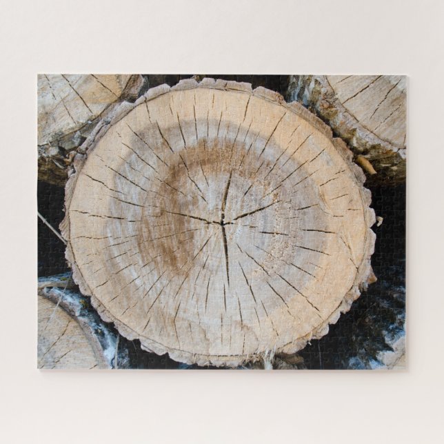 Quebra-cabeça Seção de tronco de árvore (Horizontal)