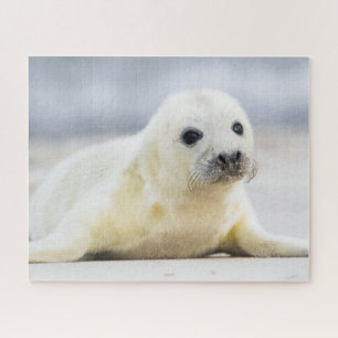 Quebra-cabeça Selo de bebê das imagens de Getty