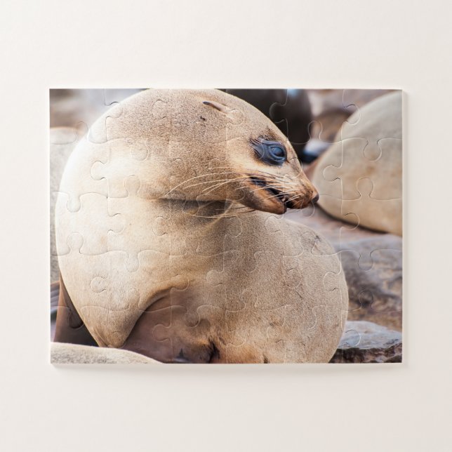 Quebra-cabeça Selo de solteiro em Colônia (Horizontal)