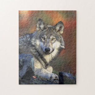 quebra-cabeça selvagem do lobo