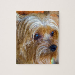 Quebra-cabeça Senhora pintada yorkshire terrier