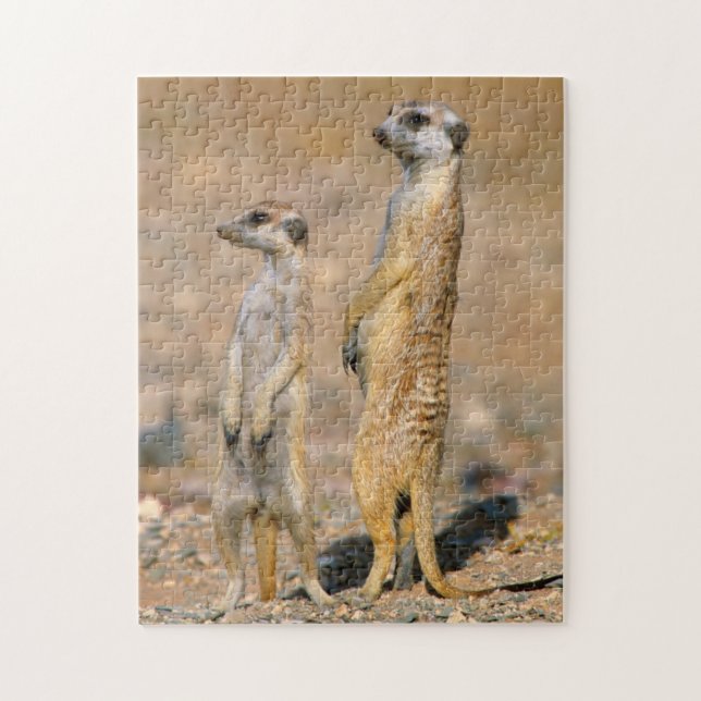 Quebra-cabeça Sentinelas do Meerkat (Suricata Suricatta), Karas (Vertical)