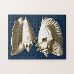 Quebra-cabeça Sepia Conch Seashells
