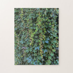 Quebra-cabeça Serene Green Ivy Wall Prendendo Folhas de Plantas 