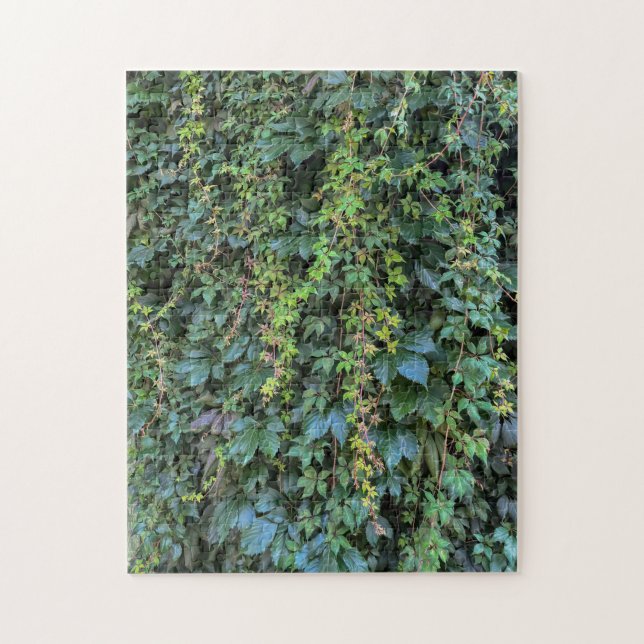 Quebra-cabeça Serene Green Ivy Wall Prendendo Folhas de Plantas  (Vertical)