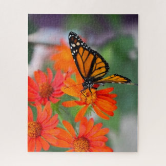 Quebra-cabeça Série "borboletas" - Borboleta monarca