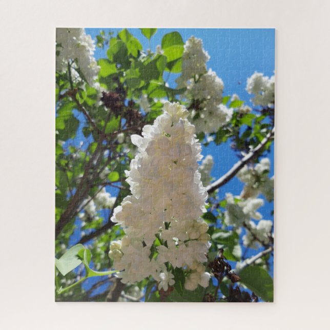 Quebra-cabeça Seringa, Árvore Lilar Branca de Flor (Vertical)