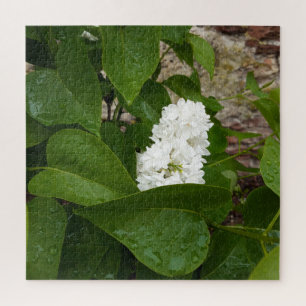 Quebra-cabeça Seringa, Flor Lilac Branco com Colírio