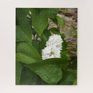 Quebra-cabeça Seringa, Flor Lilac Branco com Colírio