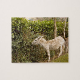 Quebra-cabeça Serra de vaivém vagueando da foto do pônei novo da