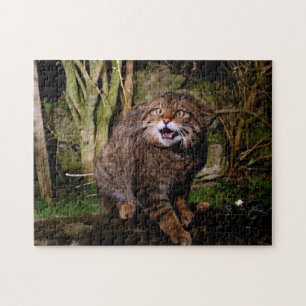 Quebra-cabeça serra de vaivém - wildcat escocês