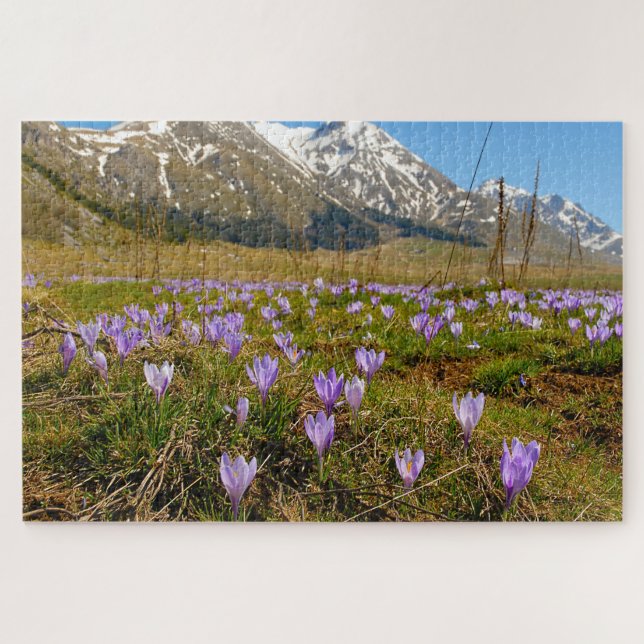 Quebra-cabeça Serra-pilhas Crocuses Abruzzo Gran Sasso Itália. (Horizontal)