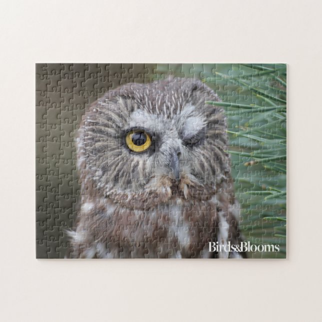 Quebra-cabeça Serra-whet a coruja (Horizontal)