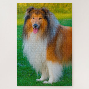 Quebra-cabeça Serras de vaivém ásperas do cão do Collie