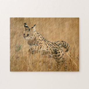 Quebra-cabeça Serval (Leptailurus Serval) Saltando