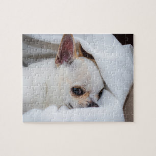 Quebra-cabeça Seu cachorrinho de estimação foto personalizada ch
