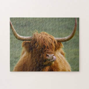 Quebra-cabeça Shaggggg Haired Scottish Highland Cow Nature Anima