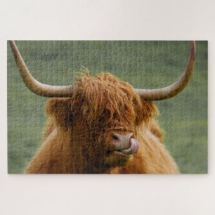 Quebra-cabeça Shaggy Haired Scottish Highland Cow Nature Animal