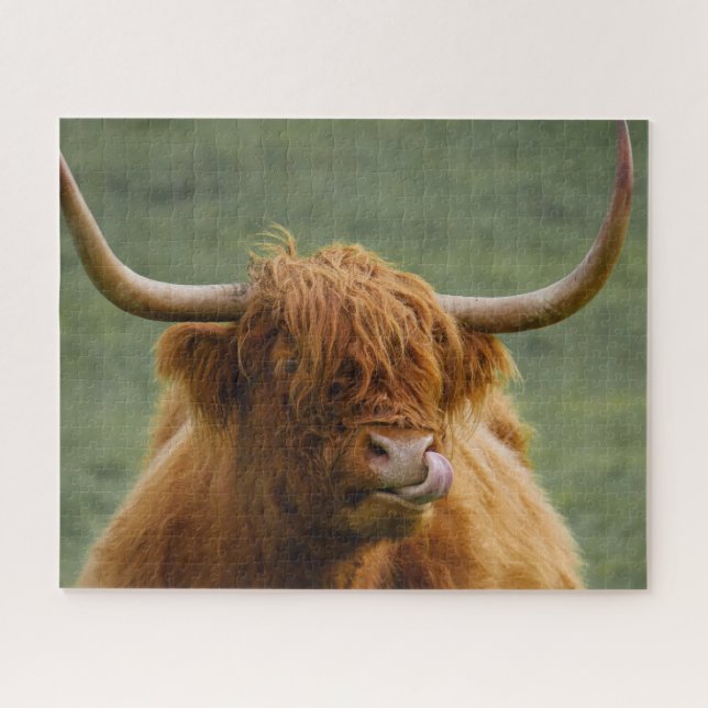 Quebra-cabeça Shaggy Haired Scottish Highland Cow Nature Animal (Horizontal)