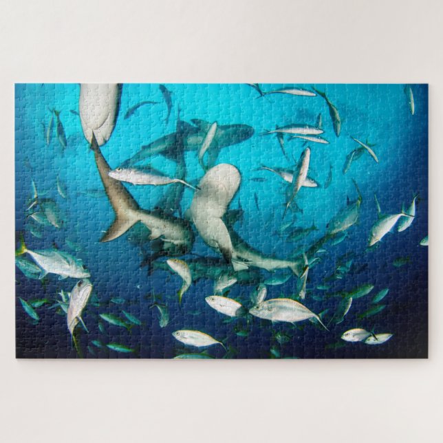 Quebra-cabeça Shark Frenzy submarino 20"x30" (Horizontal)