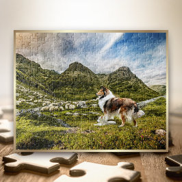 Quebra-cabeça Sheep Herding Mahogany Sable Rough Collie -