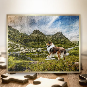 Quebra-cabeça Sheep Herding Mahogany Sable Rough Collie -