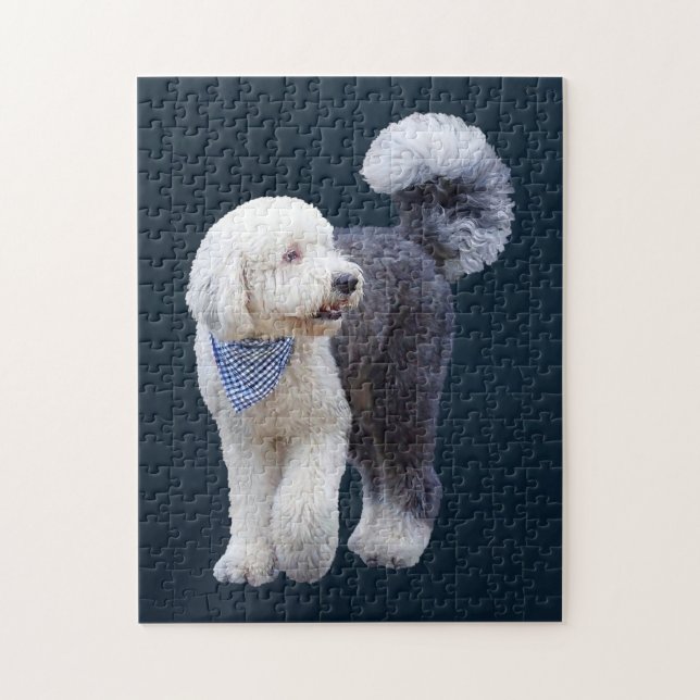Quebra-cabeça Sheepadoodle Com Cachecol Xadrez Azul (Vertical)
