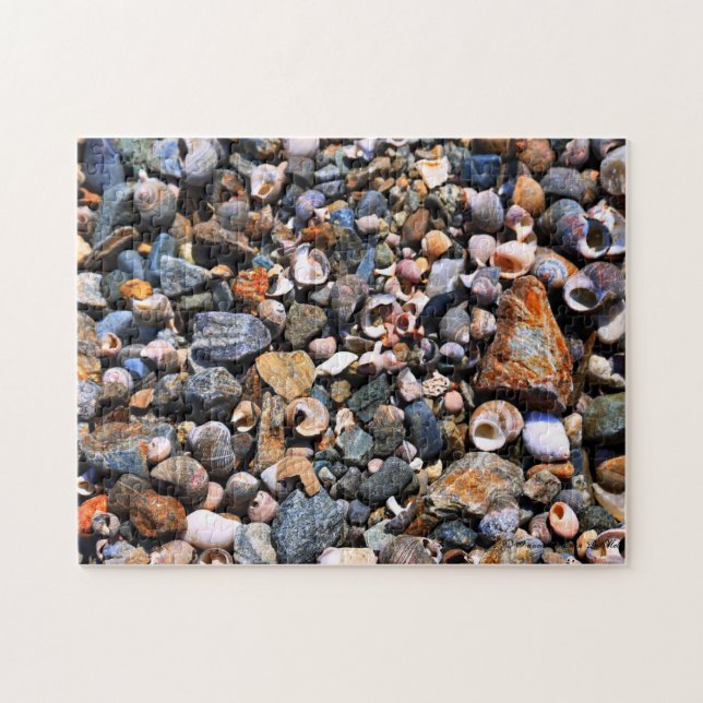 Quebra-cabeça Shell confunde (Horizontal)