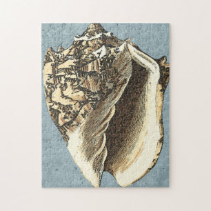 Quebra-cabeça Shell de Conch com Lavagem