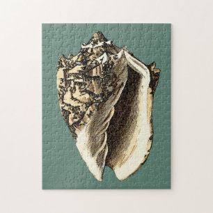 Quebra-cabeça Shell de Conch Teal