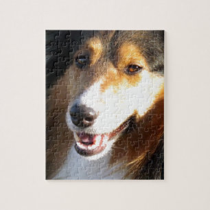 Quebra-cabeça Sheltie