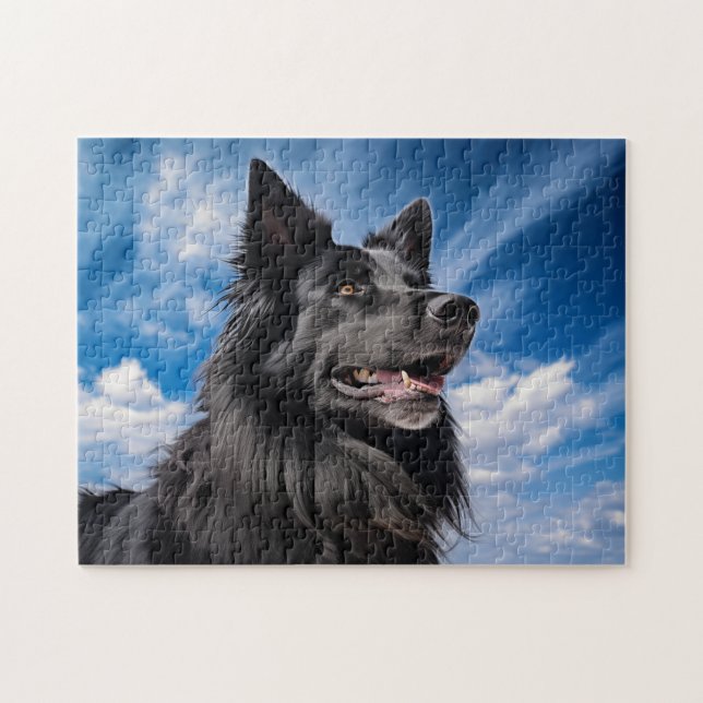 Quebra-cabeça Shepherd Groenendael belga (Horizontal)