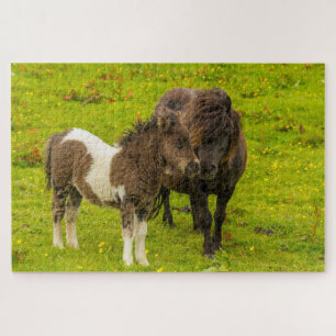 Quebra-cabeça Shetland Pony Madre e Filhotes