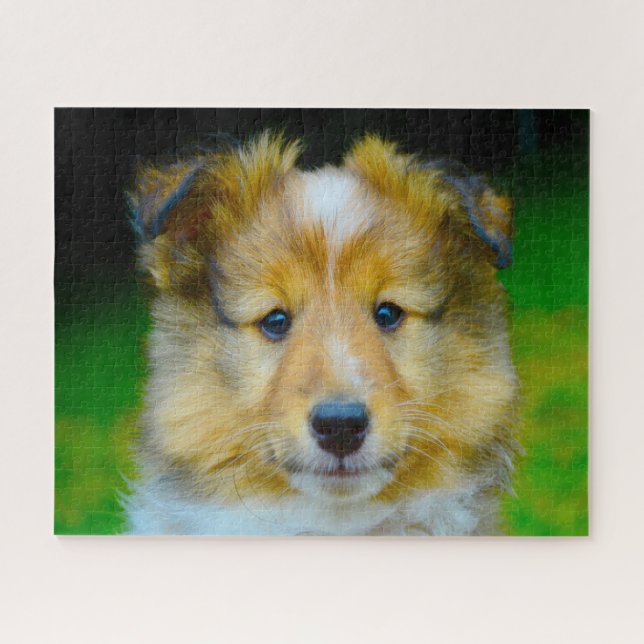 Quebra-cabeça Shetland Sheep Dog Jigsaw. (Horizontal)