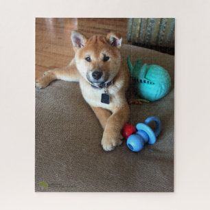 Quebra-cabeça Shiba Inu Puppy Com Fotografia Colorida De Brinque