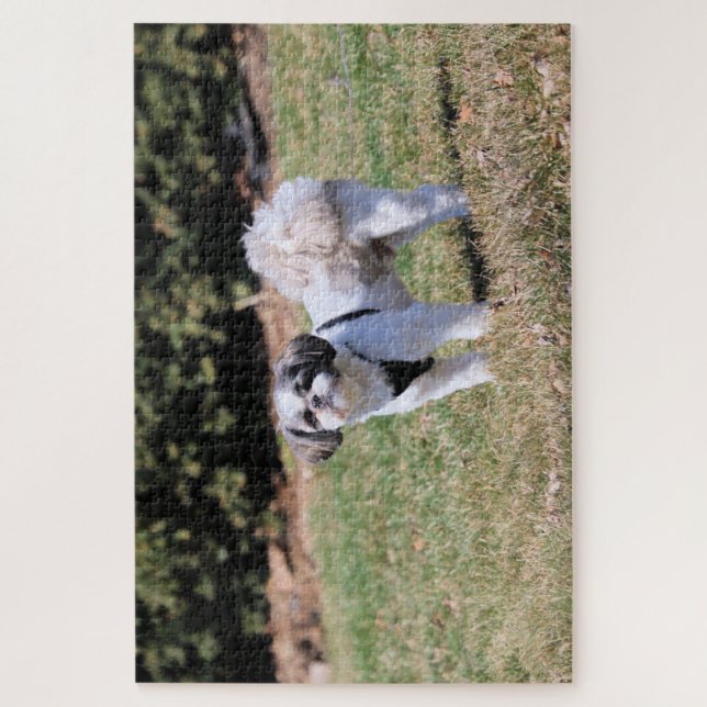 Quebra-cabeça Shih Tzu (Vertical)