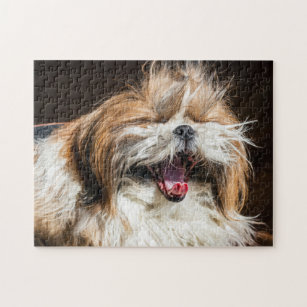 Quebra-cabeça - Shih tzu - Frete grátis na Decora Vibes